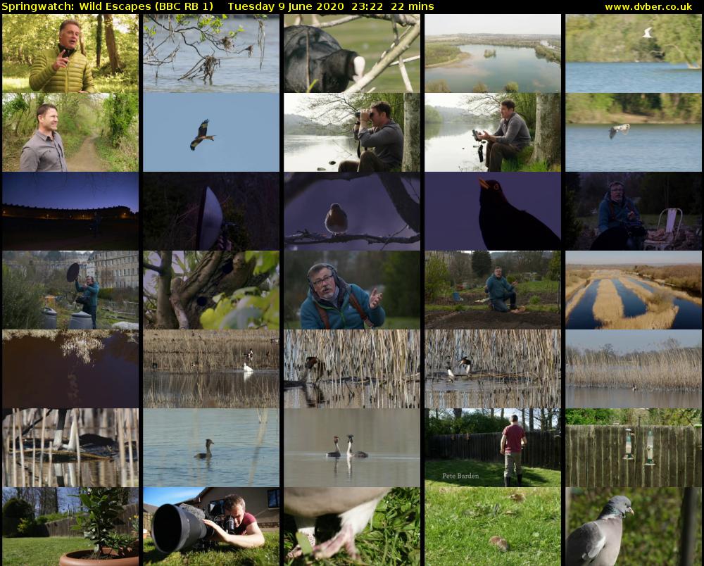 Springwatch: Wild Escapes (BBC RB 1) Tuesday 9 June 2020 23:22 - 23:44