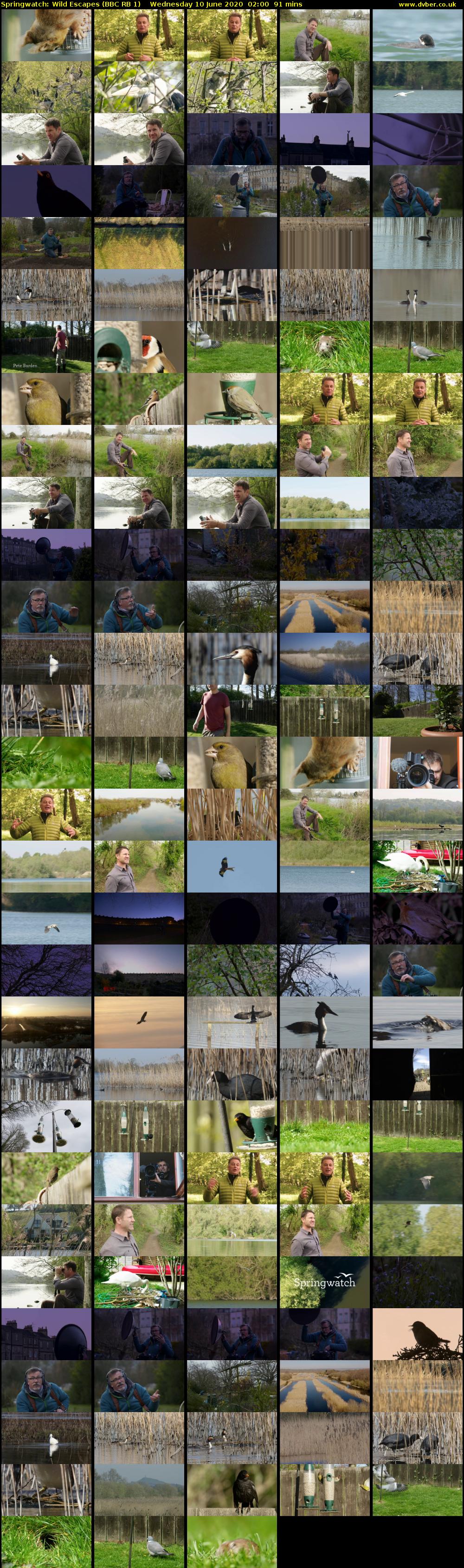 Springwatch: Wild Escapes (BBC RB 1) Wednesday 10 June 2020 02:00 - 03:31