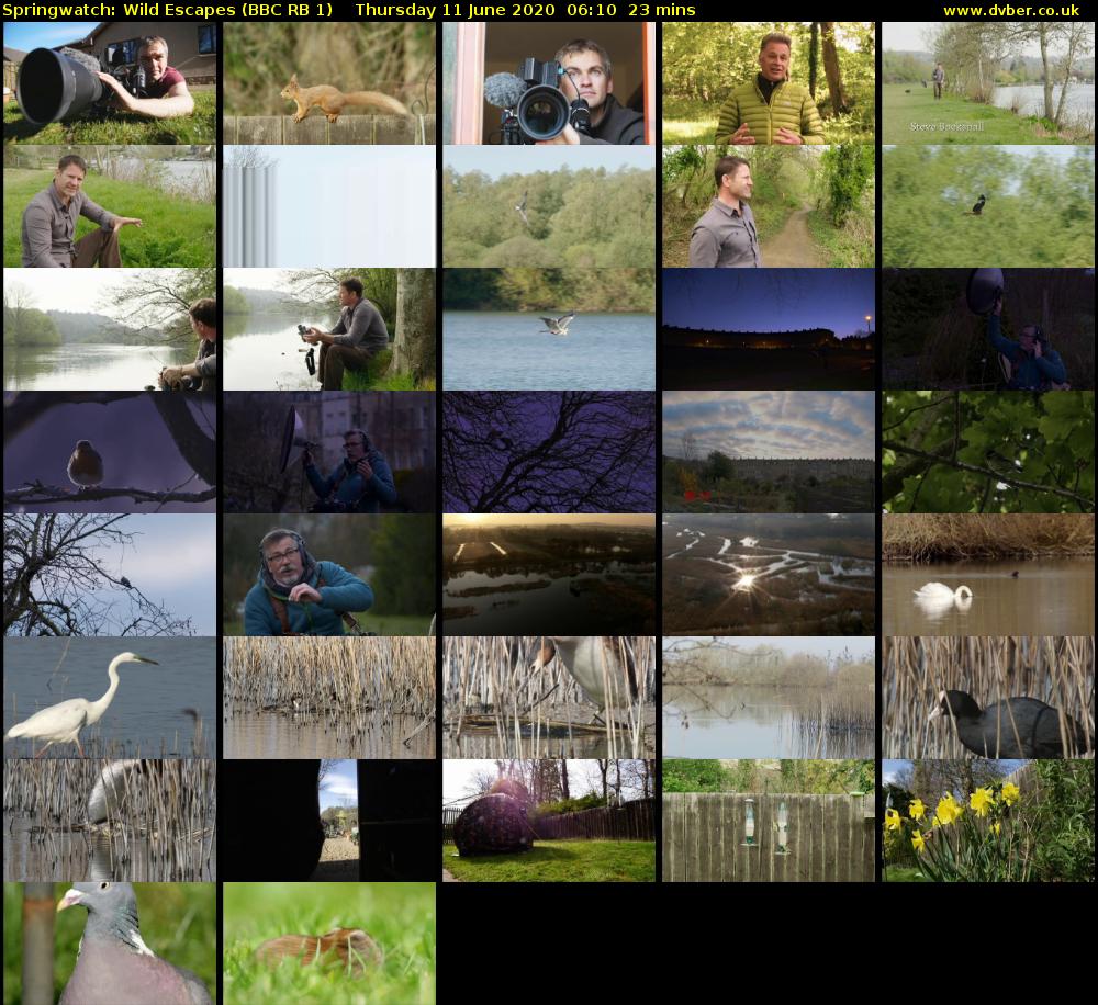 Springwatch: Wild Escapes (BBC RB 1) Thursday 11 June 2020 06:10 - 06:33