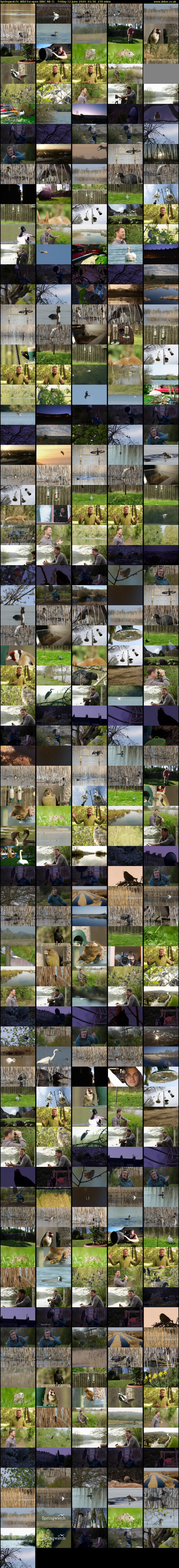 Springwatch: Wild Escapes (BBC RB 1) Friday 12 June 2020 01:30 - 06:00