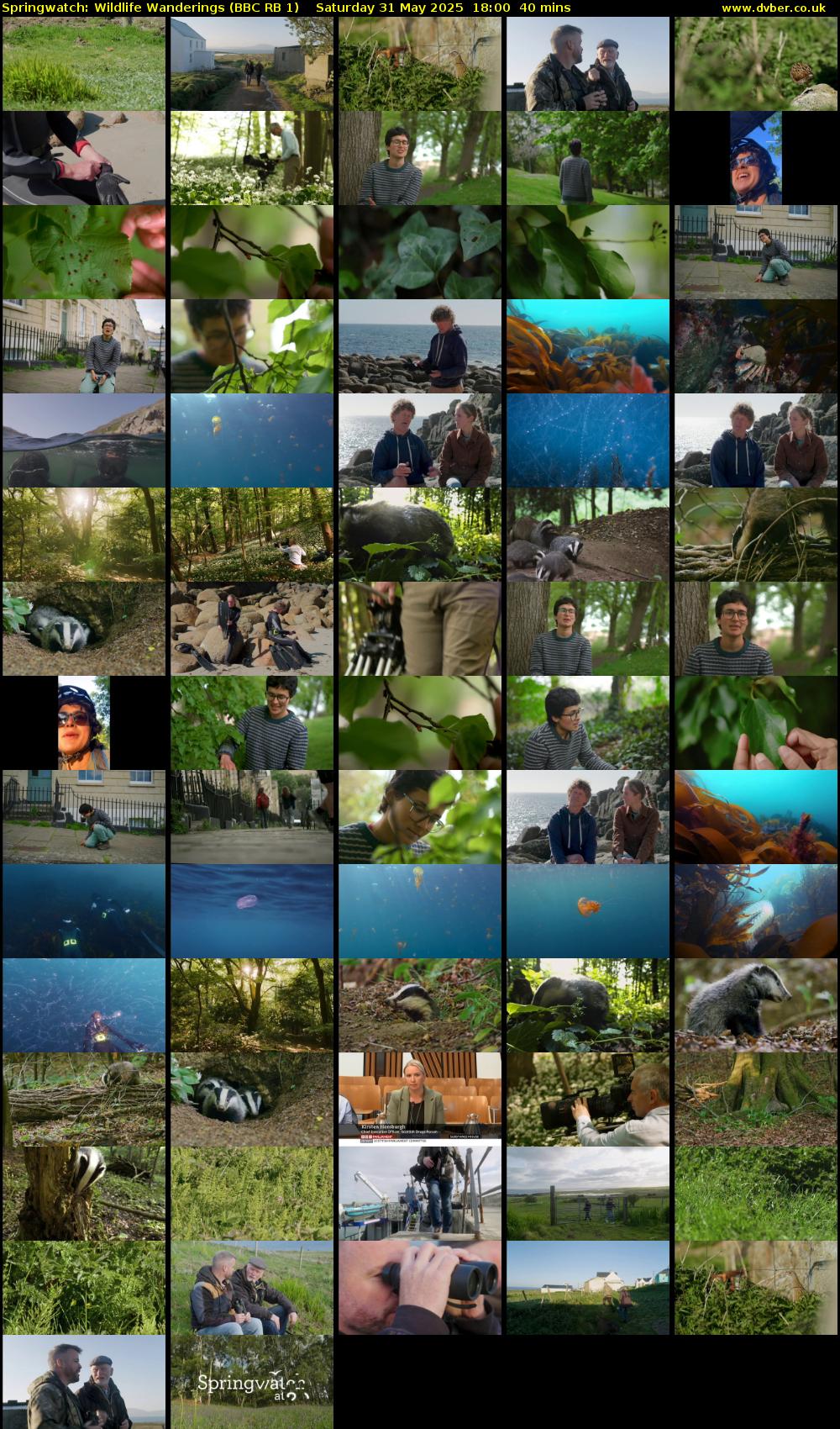 Springwatch: Wildlife Wanderings (BBC RB 1) Saturday 31 May 2025 18:00 - 18:40