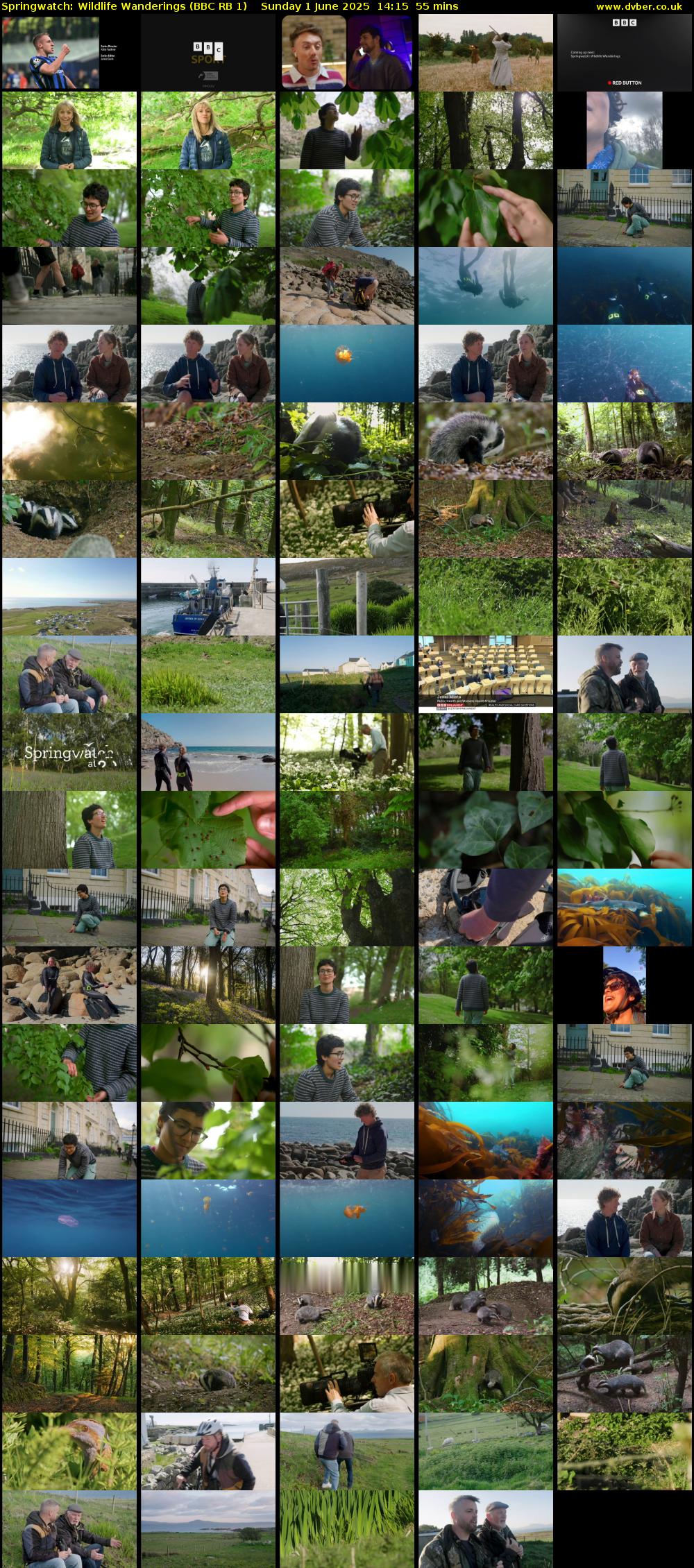 Springwatch: Wildlife Wanderings (BBC RB 1) Sunday 1 June 2025 14:15 - 15:10