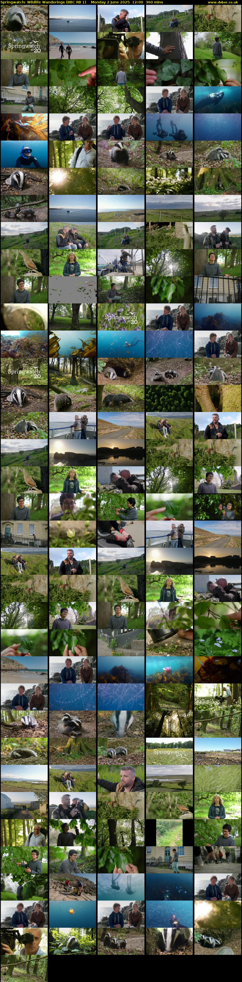 Springwatch: Wildlife Wanderings (BBC RB 1) Monday 2 June 2025 12:00 - 18:00