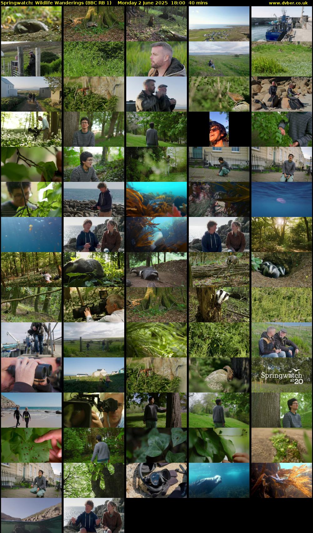 Springwatch: Wildlife Wanderings (BBC RB 1) Monday 2 June 2025 18:00 - 18:40