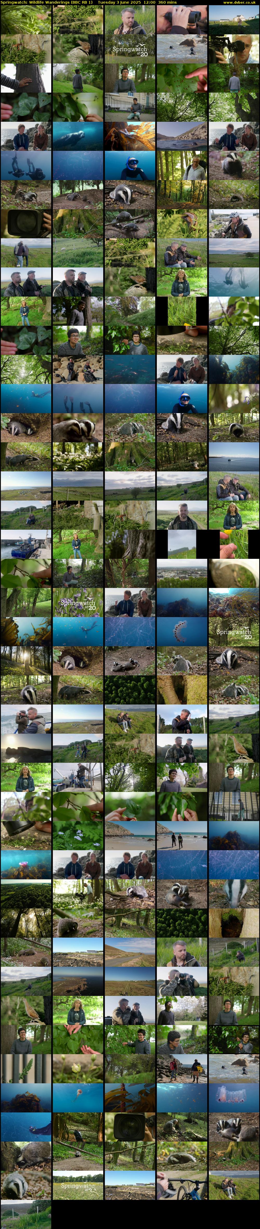 Springwatch: Wildlife Wanderings (BBC RB 1) Tuesday 3 June 2025 12:00 - 18:00