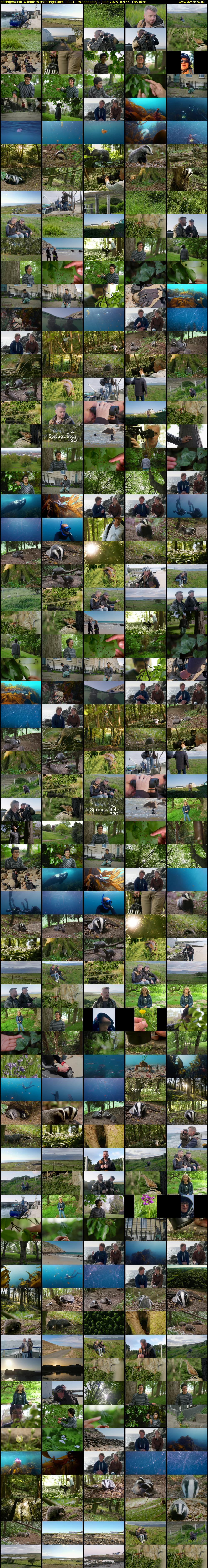 Springwatch: Wildlife Wanderings (BBC RB 1) Wednesday 4 June 2025 02:55 - 06:00