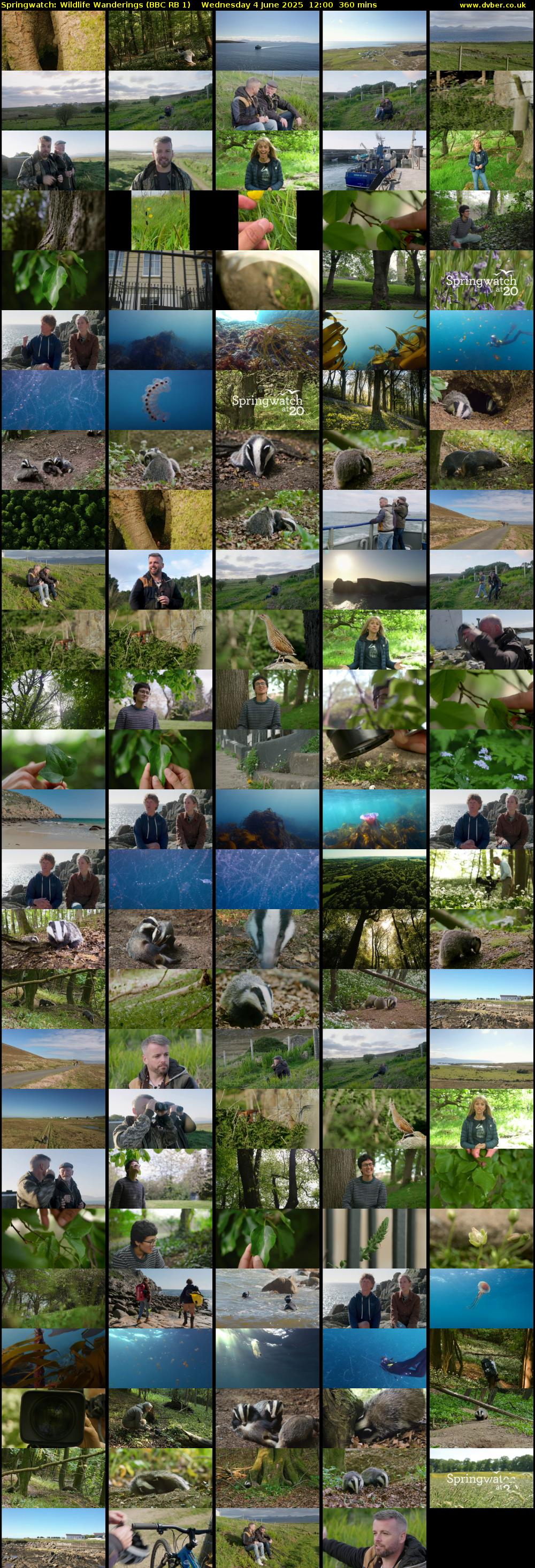 Springwatch: Wildlife Wanderings (BBC RB 1) Wednesday 4 June 2025 12:00 - 18:00