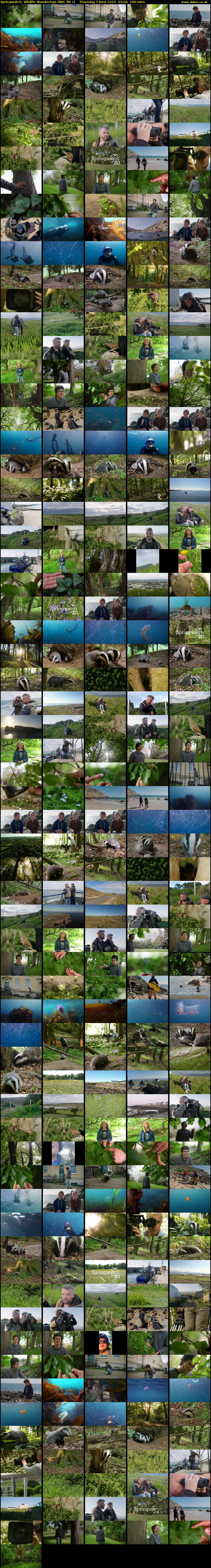 Springwatch: Wildlife Wanderings (BBC RB 1) Thursday 5 June 2025 03:00 - 06:00