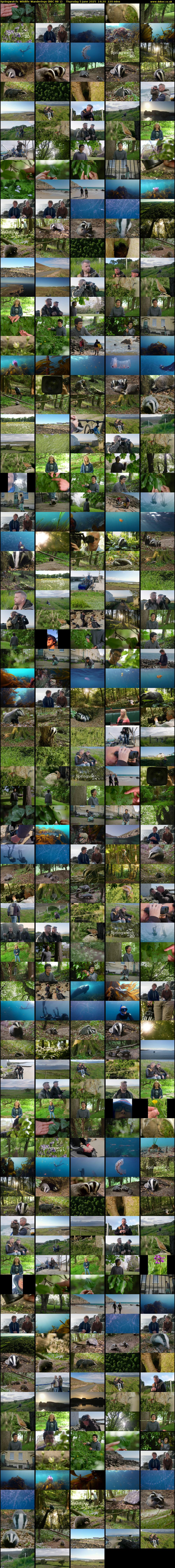 Springwatch: Wildlife Wanderings (BBC RB 1) Thursday 5 June 2025 14:20 - 18:00