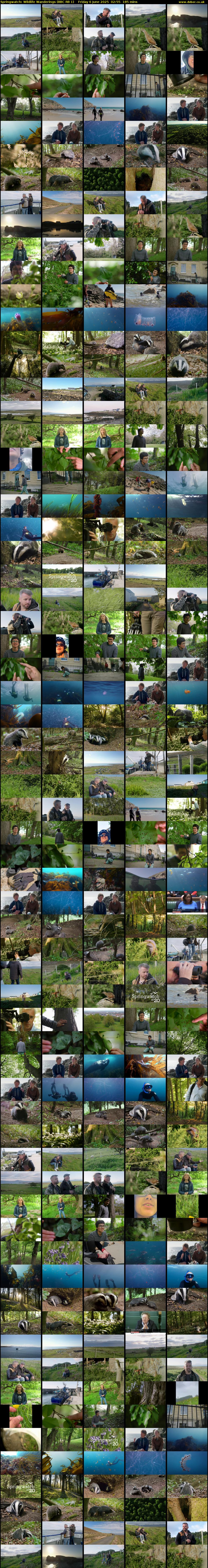 Springwatch: Wildlife Wanderings (BBC RB 1) Friday 6 June 2025 02:55 - 06:00