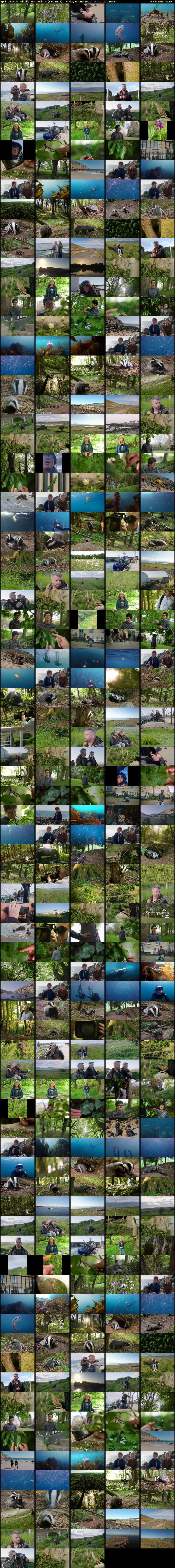 Springwatch: Wildlife Wanderings (BBC RB 1) Friday 6 June 2025 14:20 - 18:00