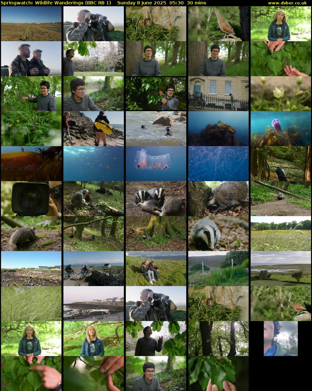 Springwatch: Wildlife Wanderings (BBC RB 1) Sunday 8 June 2025 05:30 - 06:00