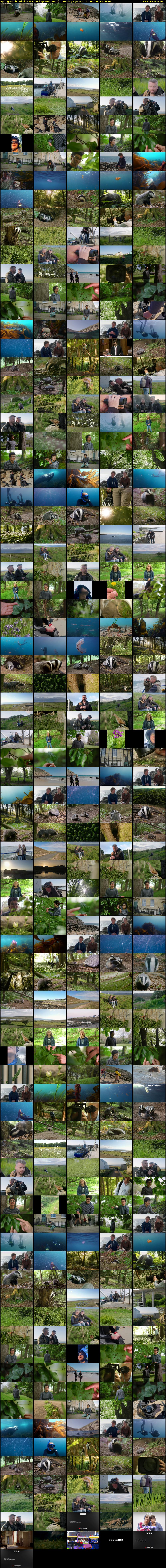 Springwatch: Wildlife Wanderings (BBC RB 1) Sunday 8 June 2025 06:00 - 09:50