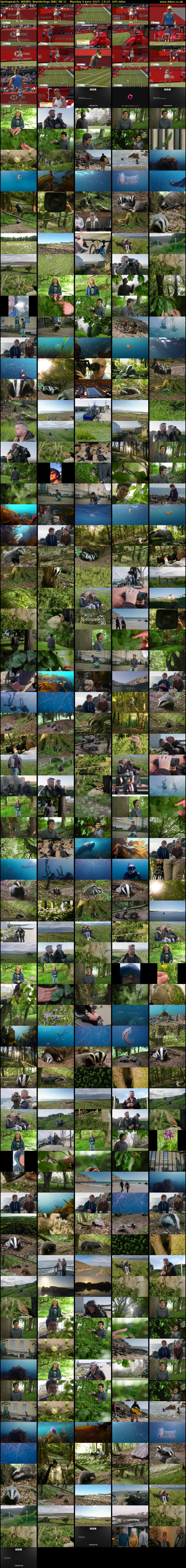 Springwatch: Wildlife Wanderings (BBC RB 1) Monday 9 June 2025 13:10 - 16:35