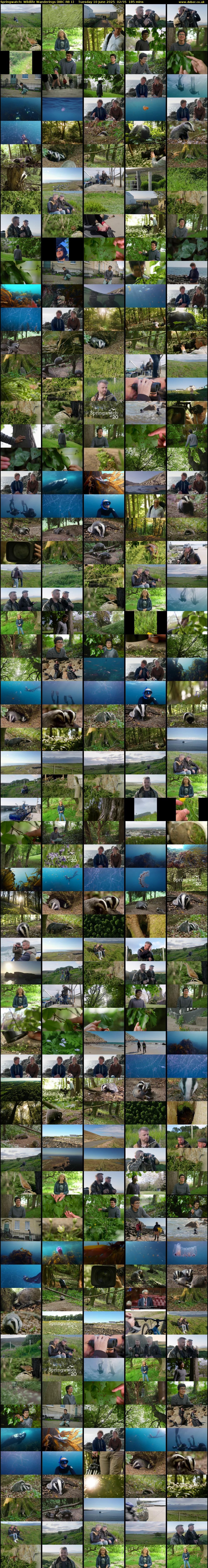 Springwatch: Wildlife Wanderings (BBC RB 1) Tuesday 10 June 2025 02:55 - 06:00