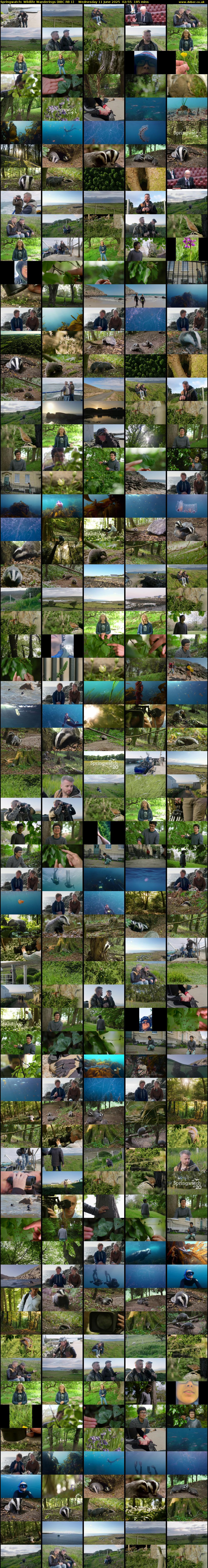 Springwatch: Wildlife Wanderings (BBC RB 1) Wednesday 11 June 2025 02:55 - 06:00