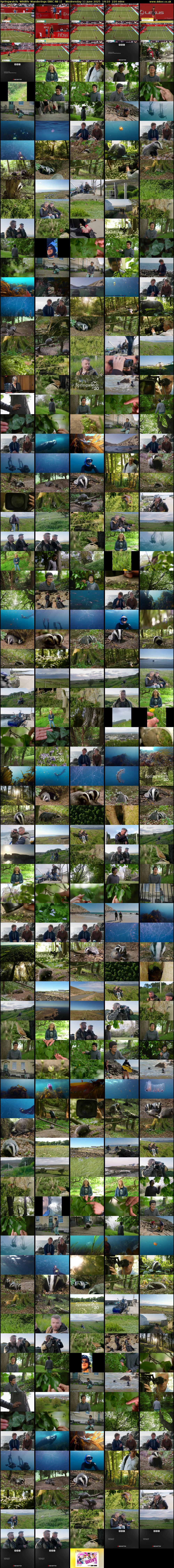 Springwatch: Wildlife Wanderings (BBC RB 1) Wednesday 11 June 2025 14:10 - 17:50