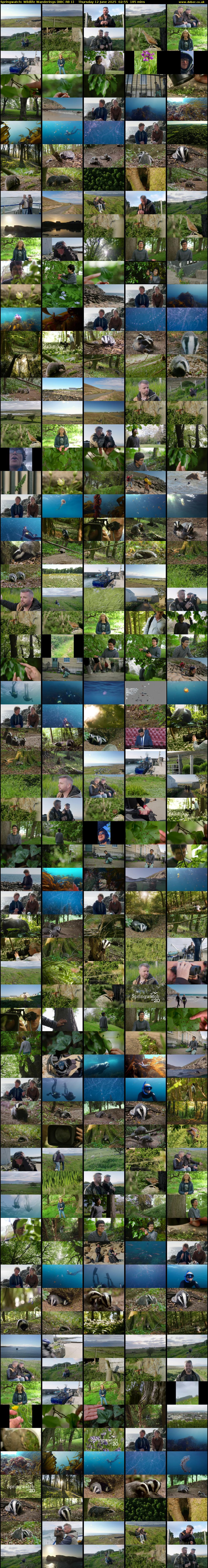 Springwatch: Wildlife Wanderings (BBC RB 1) Thursday 12 June 2025 02:55 - 06:00