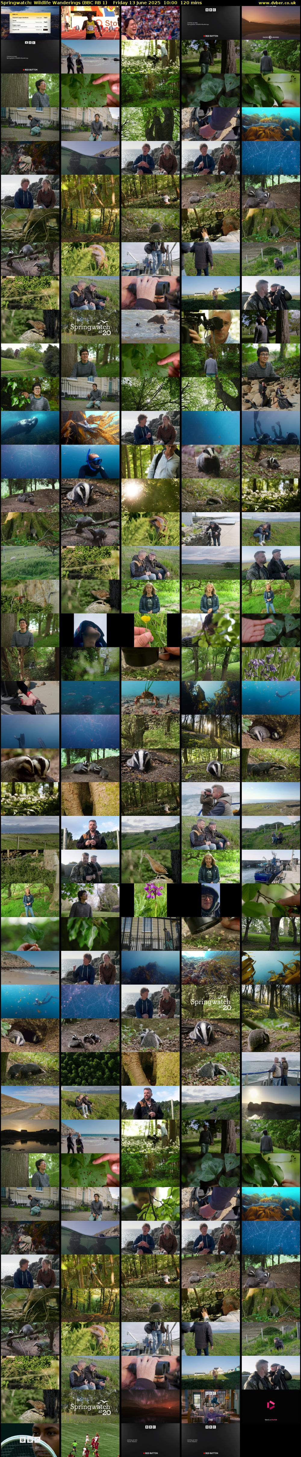 Springwatch: Wildlife Wanderings (BBC RB 1) Friday 13 June 2025 10:00 - 12:00