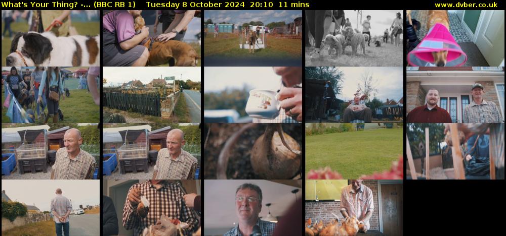 What's Your Thing? -... (BBC RB 1) Tuesday 8 October 2024 20:10 - 20:21