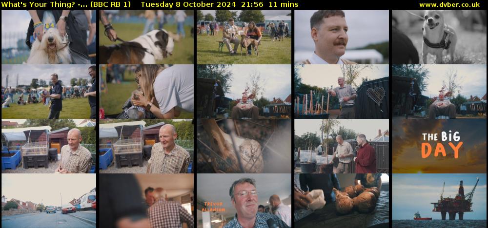 What's Your Thing? -... (BBC RB 1) Tuesday 8 October 2024 21:56 - 22:07