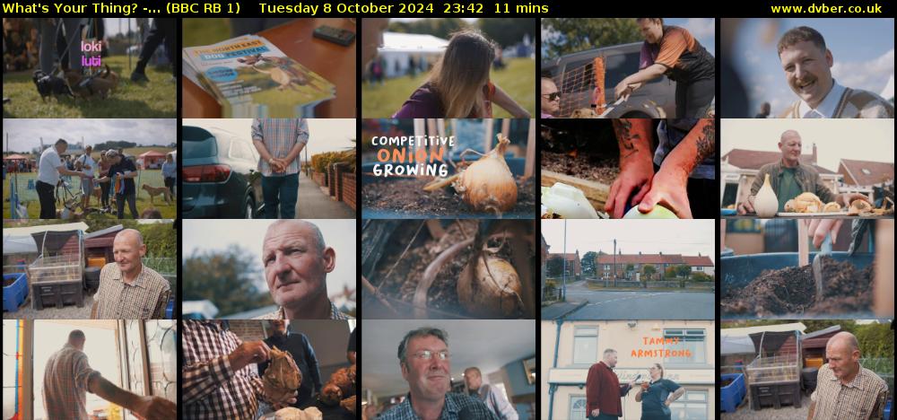 What's Your Thing? -... (BBC RB 1) Tuesday 8 October 2024 23:42 - 23:53