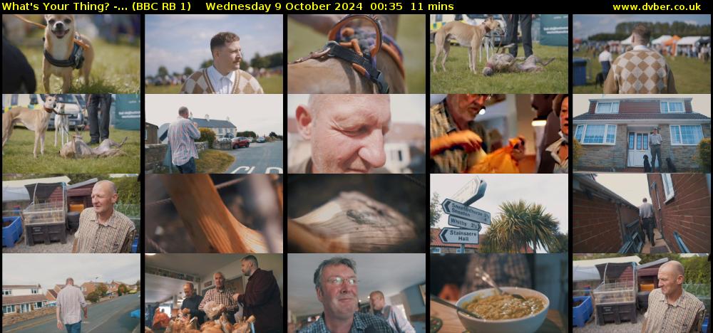 What's Your Thing? -... (BBC RB 1) Wednesday 9 October 2024 00:35 - 00:46