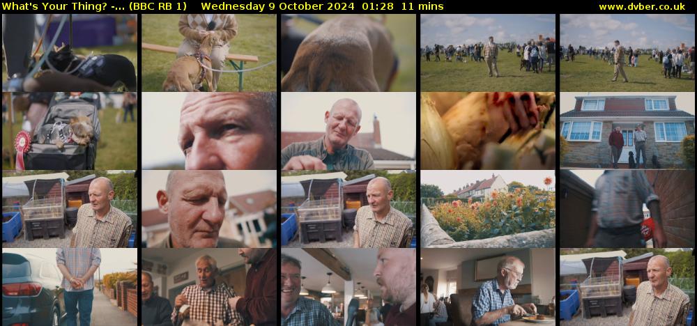 What's Your Thing? -... (BBC RB 1) Wednesday 9 October 2024 01:28 - 01:39