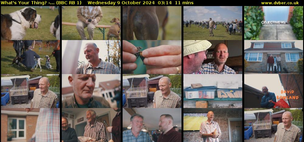 What's Your Thing? -... (BBC RB 1) Wednesday 9 October 2024 03:14 - 03:25