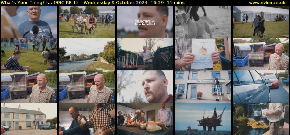 What's Your Thing? -... (BBC RB 1) Wednesday 9 October 2024 16:29 - 16:40