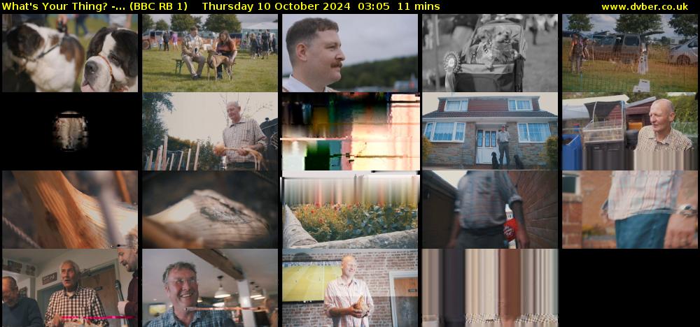 What's Your Thing? -... (BBC RB 1) Thursday 10 October 2024 03:05 - 03:16