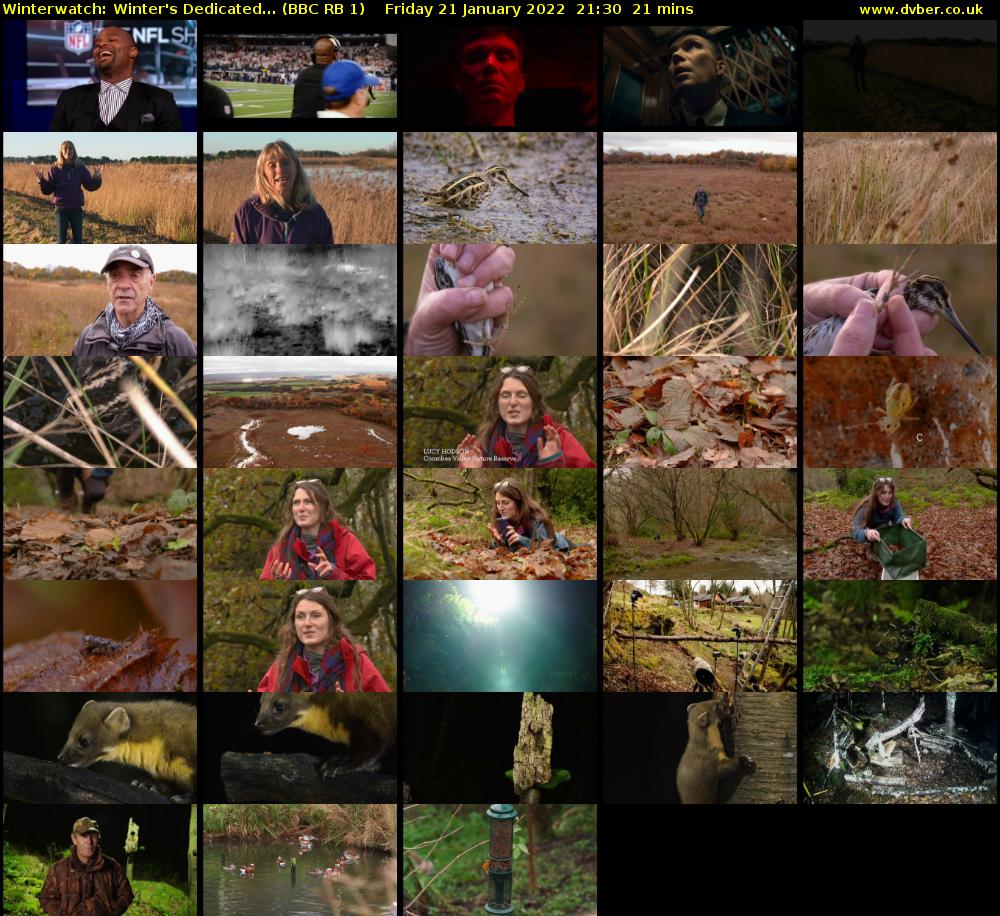 Winterwatch: Winter's Dedicated... (BBC RB 1) Friday 21 January 2022 21:30 - 21:51