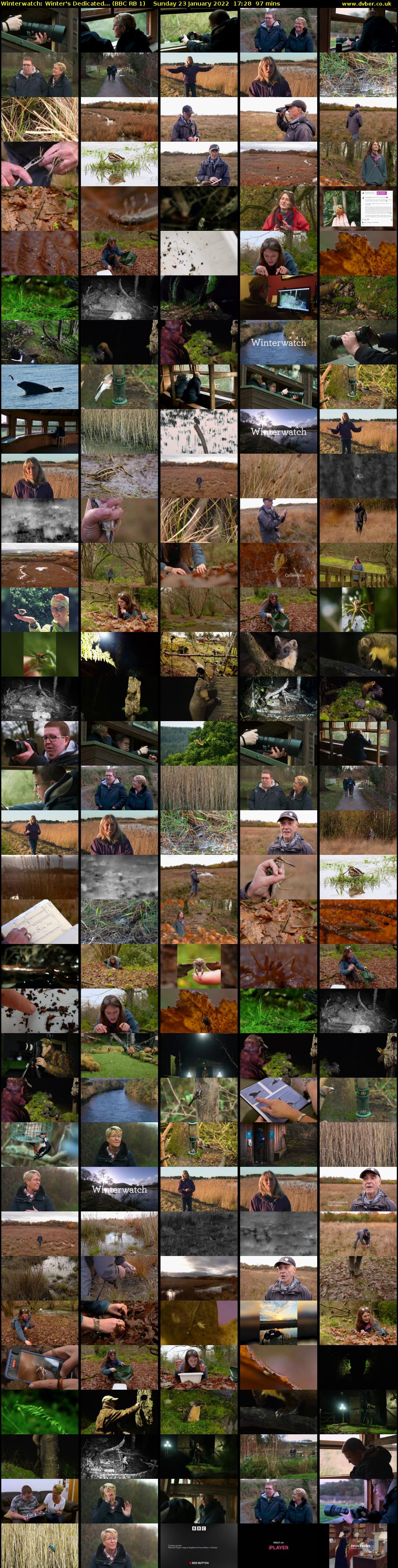 Winterwatch: Winter's Dedicated... (BBC RB 1) Sunday 23 January 2022 17:28 - 19:05