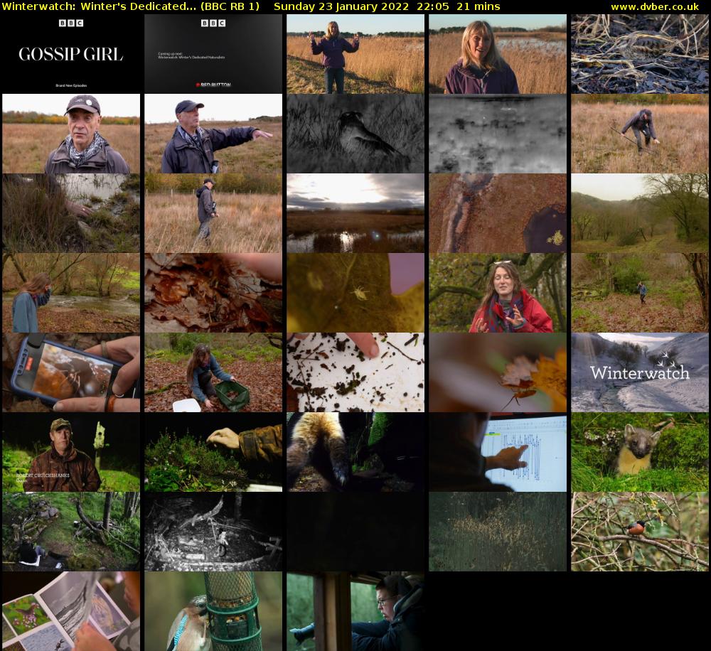 Winterwatch: Winter's Dedicated... (BBC RB 1) Sunday 23 January 2022 22:05 - 22:26
