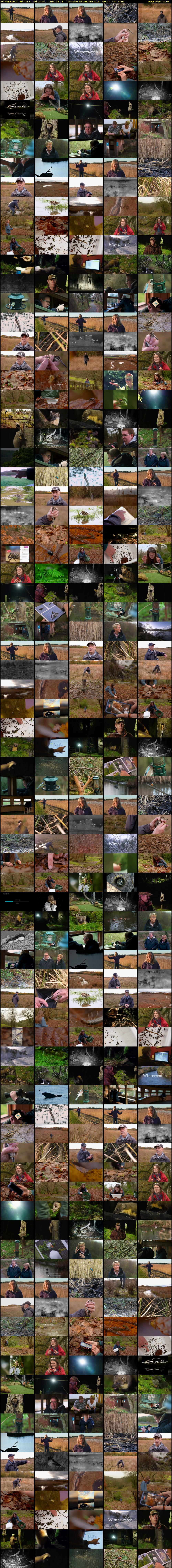Winterwatch: Winter's Dedicated... (BBC RB 1) Tuesday 25 January 2022 00:26 - 05:46