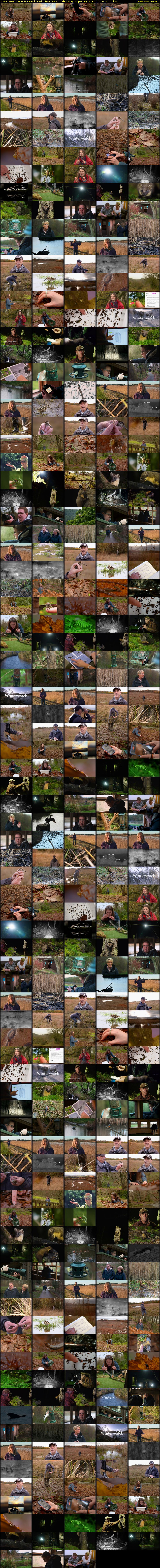 Winterwatch: Winter's Dedicated... (BBC RB 1) Thursday 27 January 2022 14:00 - 18:00