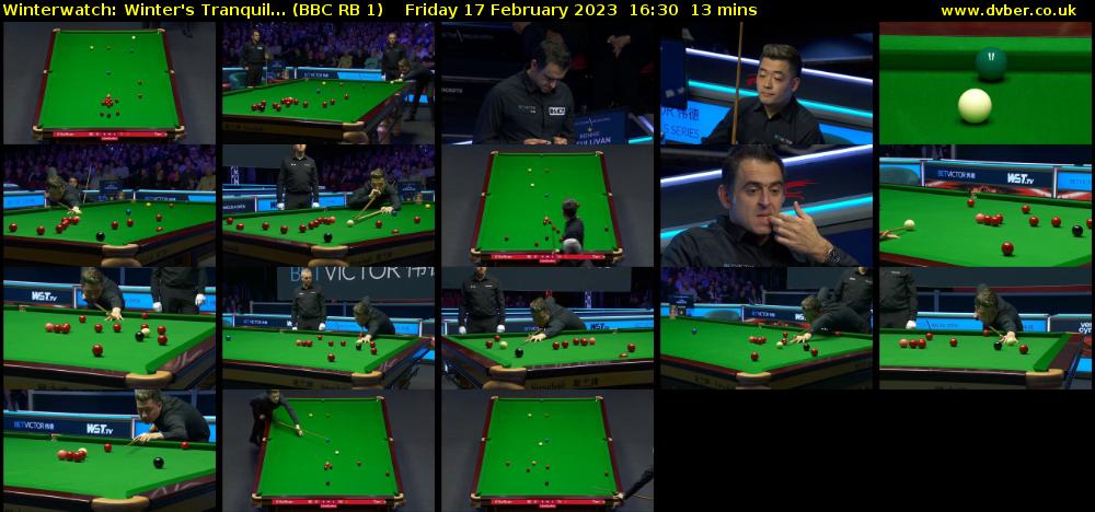 Winterwatch: Winter's Tranquil... (BBC RB 1) Friday 17 February 2023 16:30 - 16:43