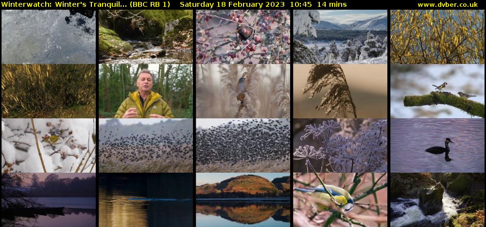 Winterwatch: Winter's Tranquil... (BBC RB 1) Saturday 18 February 2023 10:45 - 10:59