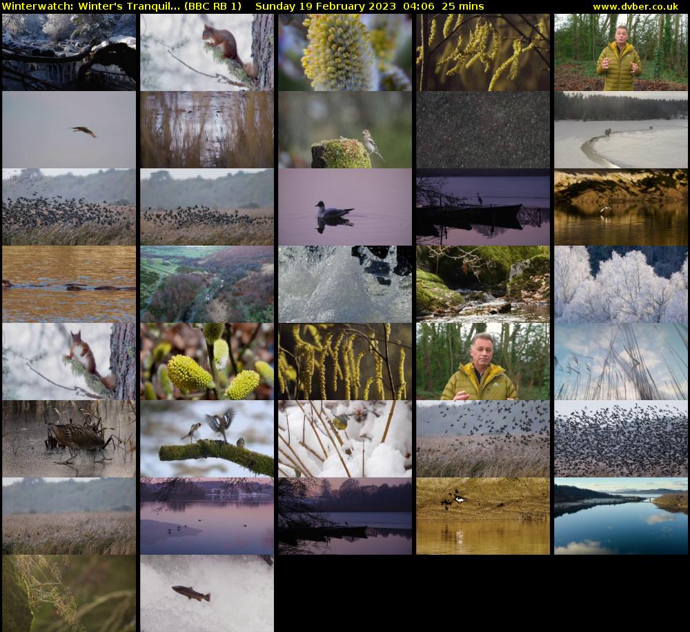 Winterwatch: Winter's Tranquil... (BBC RB 1) Sunday 19 February 2023 04:06 - 04:31