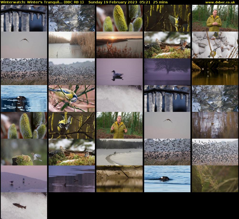 Winterwatch: Winter's Tranquil... (BBC RB 1) Sunday 19 February 2023 05:21 - 05:46