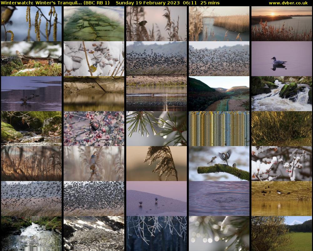 Winterwatch: Winter's Tranquil... (BBC RB 1) Sunday 19 February 2023 06:11 - 06:36