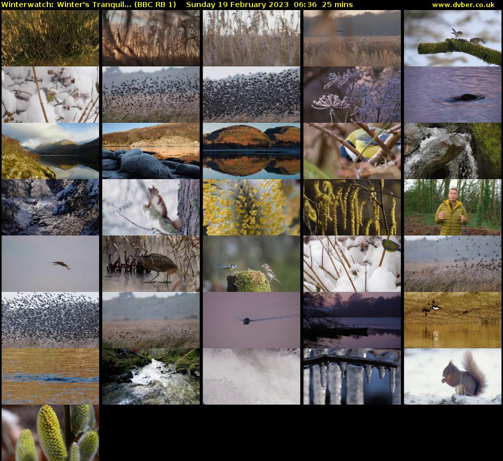 Winterwatch: Winter's Tranquil... (BBC RB 1) Sunday 19 February 2023 06:36 - 07:01