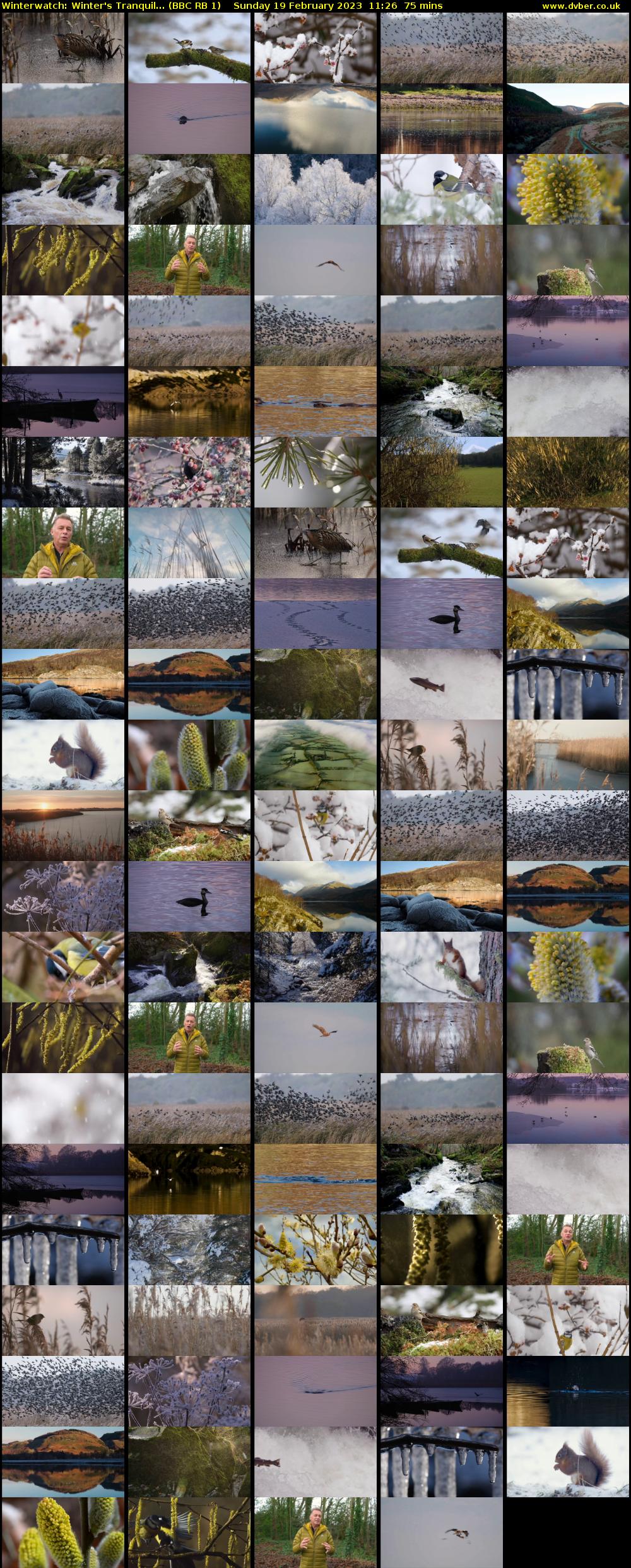 Winterwatch: Winter's Tranquil... (BBC RB 1) Sunday 19 February 2023 11:26 - 12:41