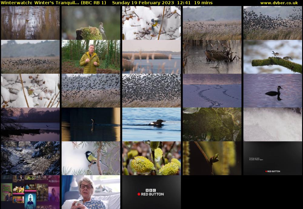 Winterwatch: Winter's Tranquil... (BBC RB 1) Sunday 19 February 2023 12:41 - 13:00