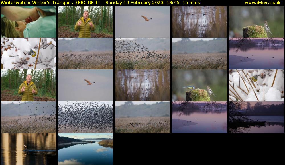 Winterwatch: Winter's Tranquil... (BBC RB 1) Sunday 19 February 2023 18:45 - 19:00