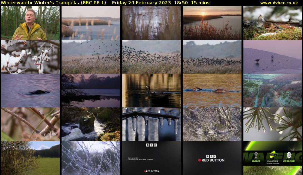 Winterwatch: Winter's Tranquil... (BBC RB 1) Friday 24 February 2023 18:50 - 19:05