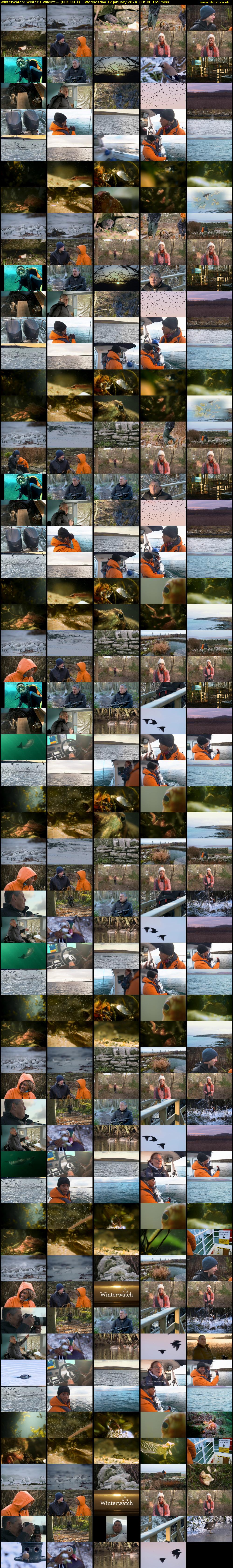 Winterwatch: Winter's Wildlife... (BBC RB 1) Wednesday 17 January 2024 03:30 - 06:15