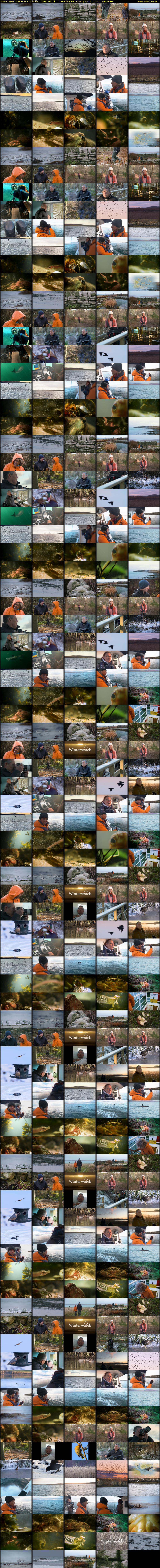 Winterwatch: Winter's Wildlife... (BBC RB 1) Thursday 18 January 2024 01:30 - 05:30