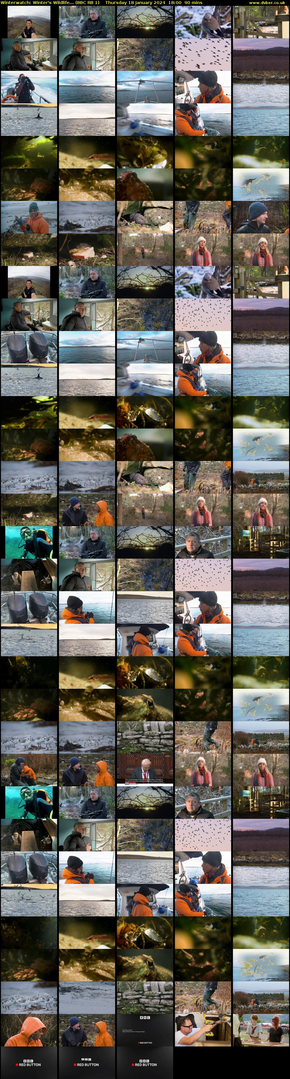 Winterwatch: Winter's Wildlife... (BBC RB 1) Thursday 18 January 2024 18:00 - 19:30