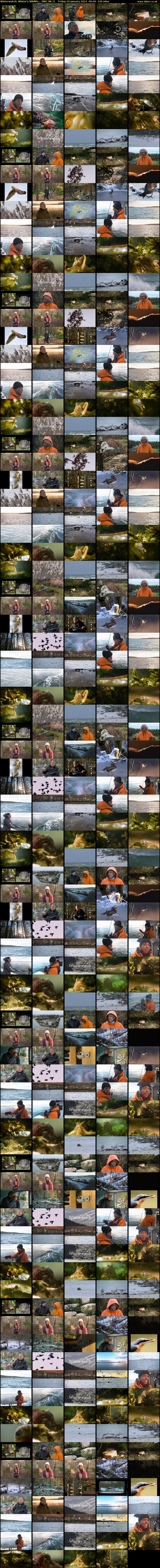 Winterwatch: Winter's Wildlife... (BBC RB 1) Friday 26 January 2024 06:00 - 10:00